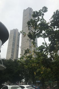 世茂茶亭臻園綜合評析：優點、不足及周邊中介評價